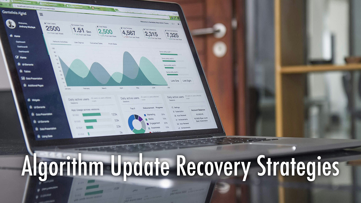 SEO Recovery Algorithm Updates - Case Study